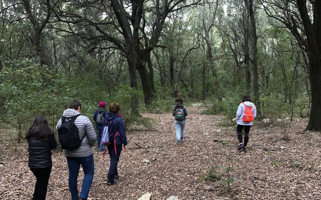 Banys de Bosc a les Illes Balears