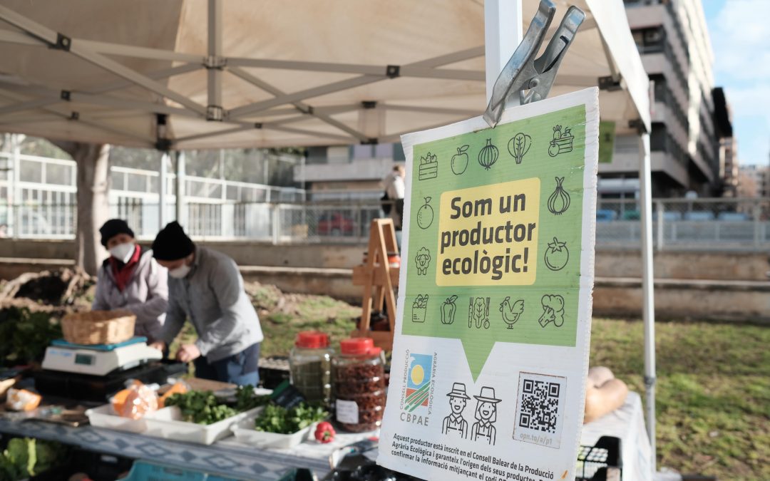 Mercat Ecològic de Palma