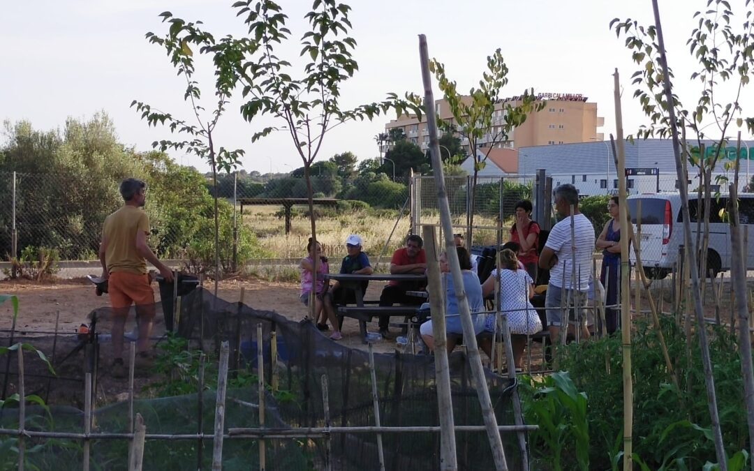 Hort Social Sant Llorenç