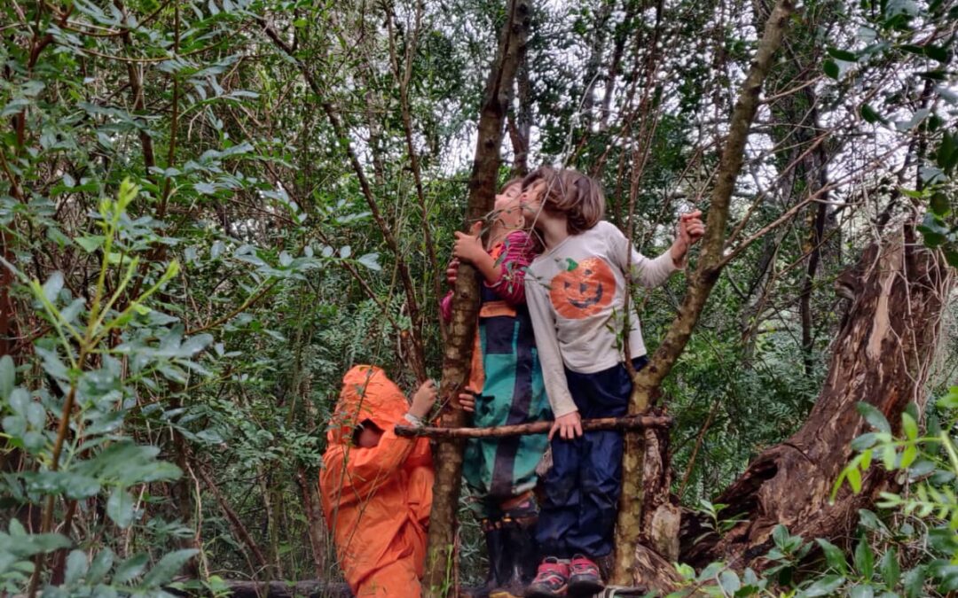 Ses Milanes – Créixer en la natura