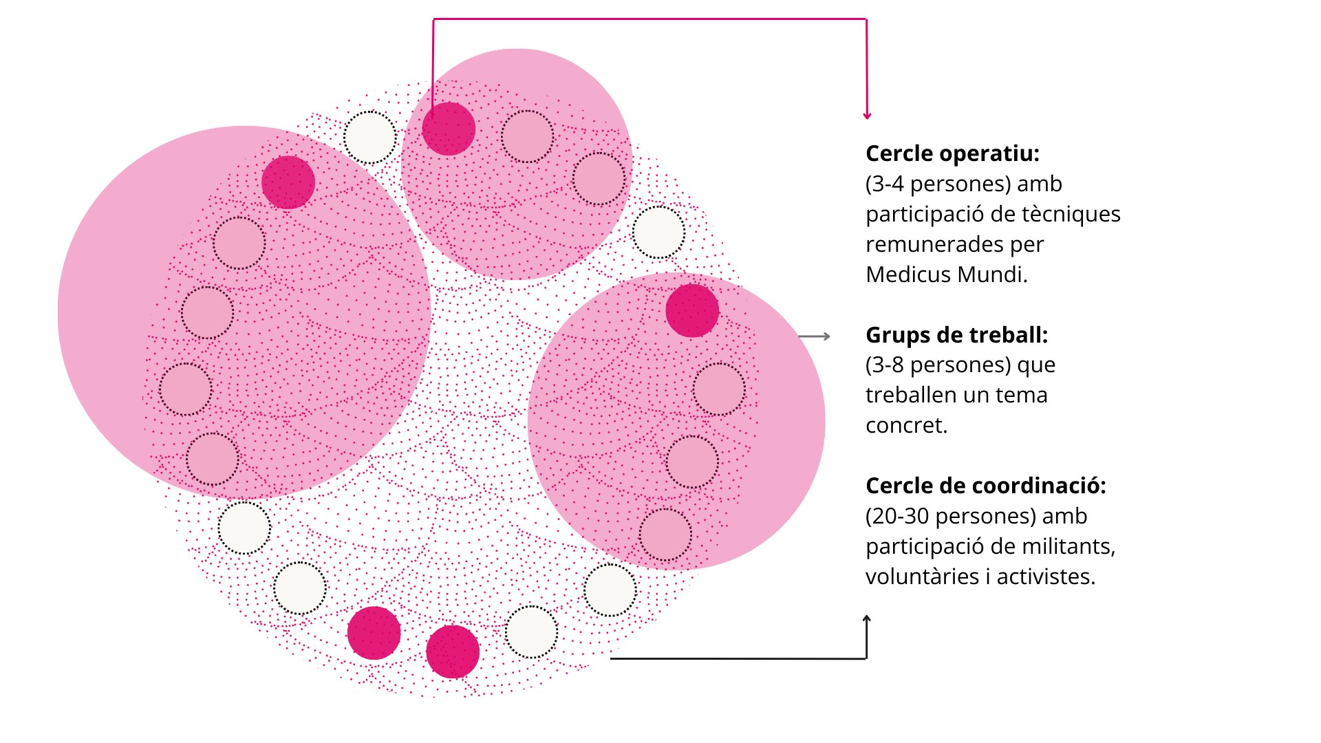 Transicio sociocratica