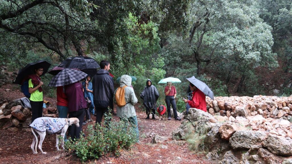 La ruta del comunalisme - Ferides territorials, solucions col·lectives 1 photo 2025 10 11 19 23 34