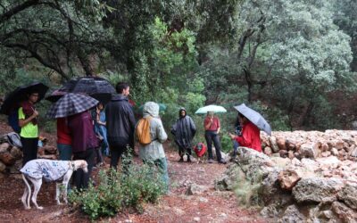 La ruta del comunalisme – Ferides territorials, solucions col·lectives