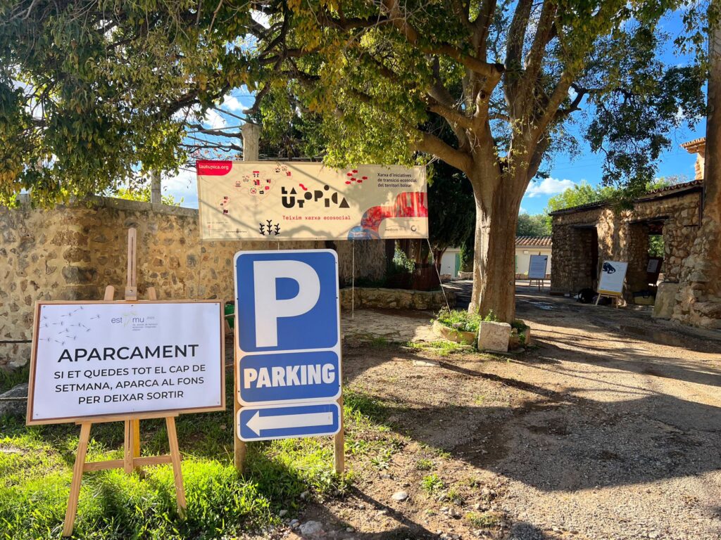 WhatsApp Image 2025 11 08 at 00.17.48 1