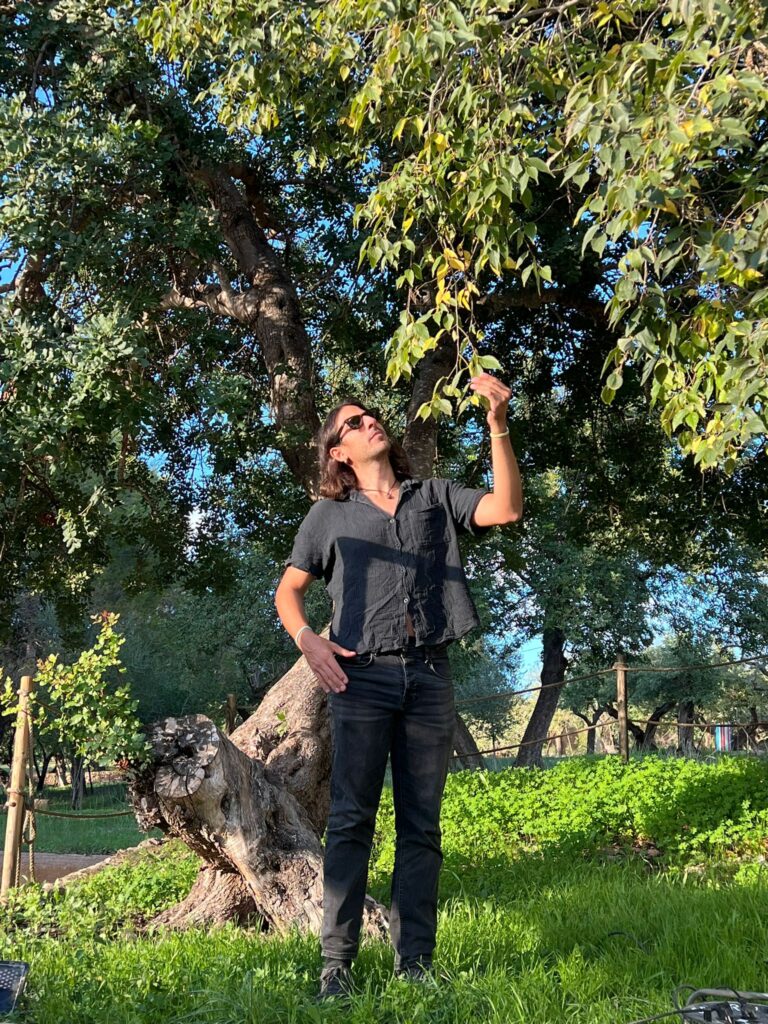 WhatsApp Image 2025 11 08 at 00.17.48