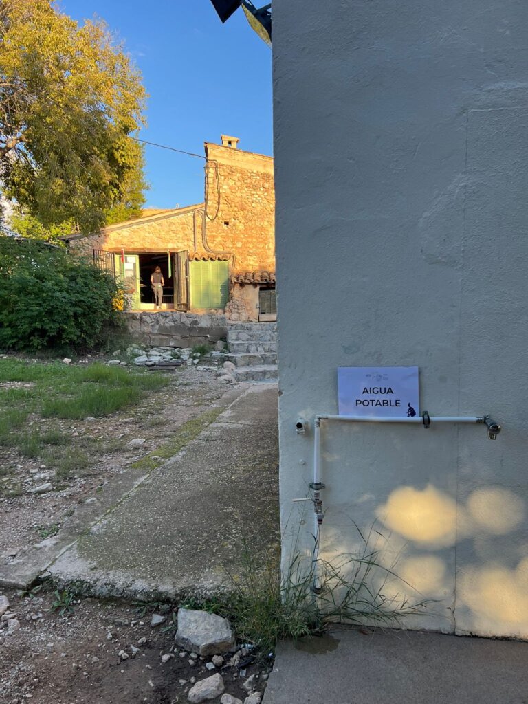 WhatsApp Image 2025 11 08 at 00.34.26