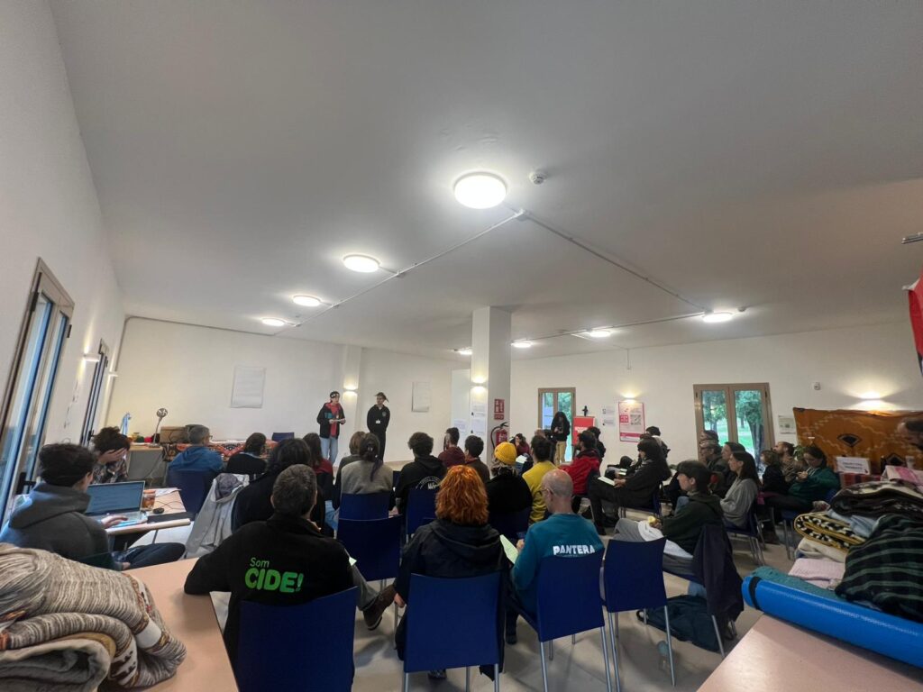 WhatsApp Image 2025 11 08 at 12.30.35