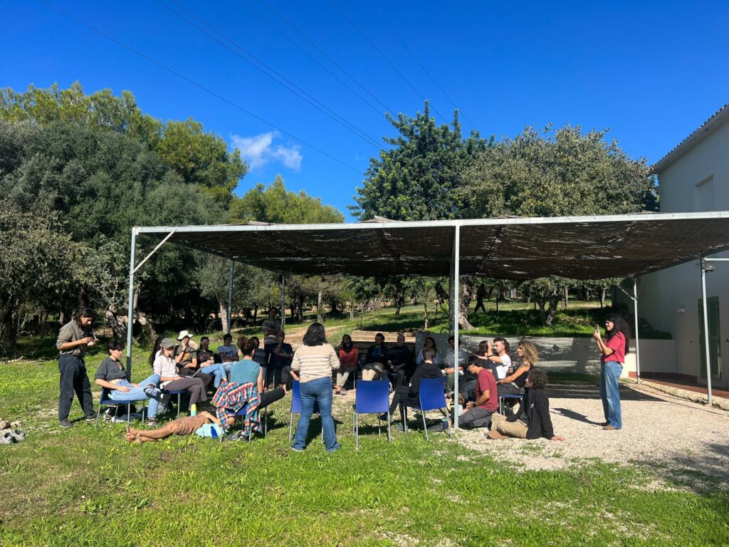 WhatsApp Image 2025 11 09 at 20.34.28 1