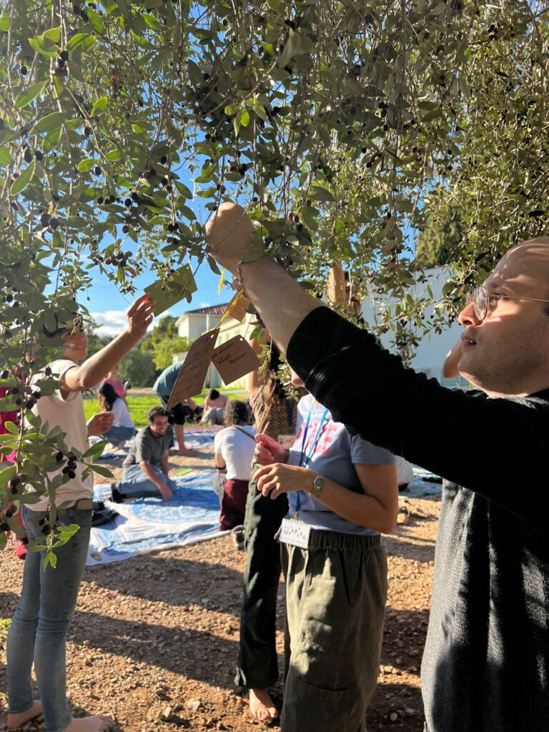 WhatsApp Image 2025 11 09 at 20.34.32 1