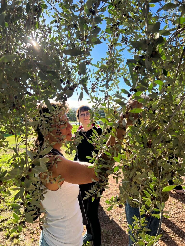 WhatsApp Image 2025 11 09 at 20.34.32 2