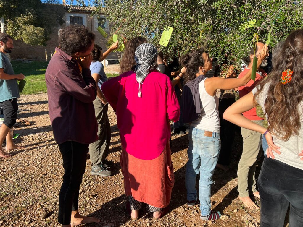 WhatsApp Image 2025 11 09 at 20.34.33 1