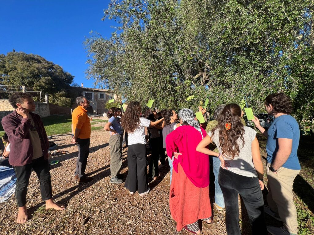 WhatsApp Image 2025 11 09 at 20.34.33