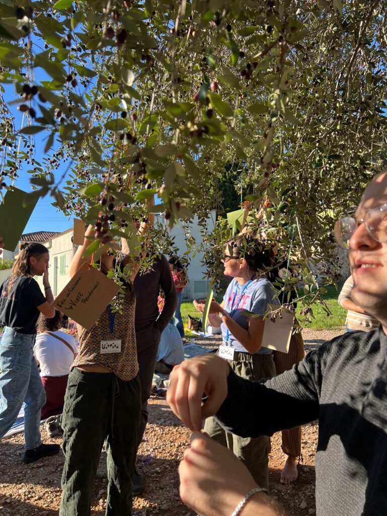 WhatsApp Image 2025 11 09 at 20.38.27